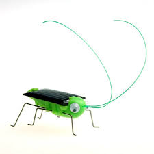 solar cricket